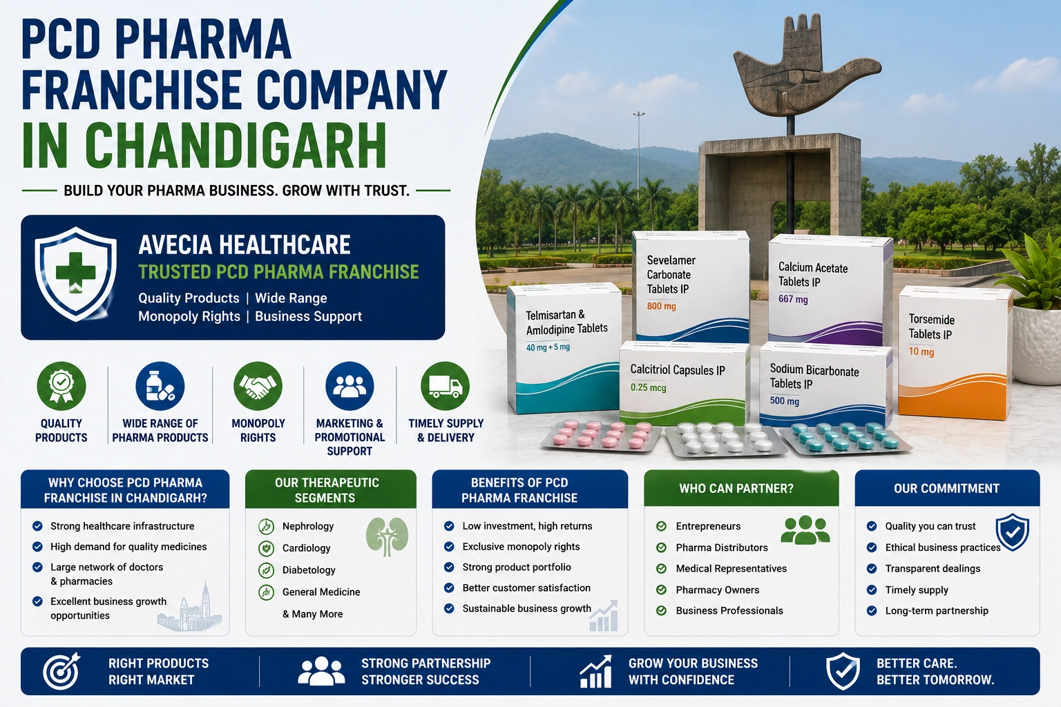 PCD Pharma Franchise Company in Chandigarh